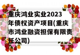 重庆鸿业实业2023年债权资产项目(重庆市鸿业融资担保有限责任公司)