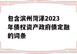 包含滨州菏泽2023年债权资产政府债定融的词条