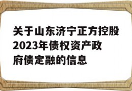 关于山东济宁正方控股2023年债权资产政府债定融的信息