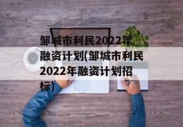 邹城市利民2022年融资计划(邹城市利民2022年融资计划招标)