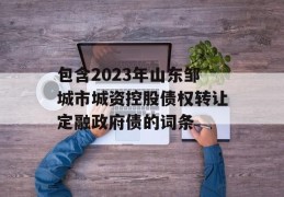 包含2023年山东邹城市城资控股债权转让定融政府债的词条