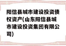 阳信县城市建设投资债权资产(山东阳信县城市建设投资集团有限公司)