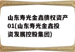 山东寿光金鑫债权资产01(山东寿光金鑫投资发展控股集团)