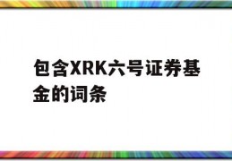 包含XRK六号证券基金的词条