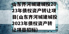 山东齐河城建城投2023年债权资产转让项目(山东齐河城建城投2023年债权资产转让项目招标)