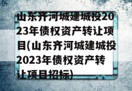 山东齐河城建城投2023年债权资产转让项目(山东齐河城建城投2023年债权资产转让项目招标)