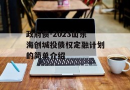 政府债-2023山东海创城投债权定融计划的简单介绍