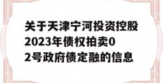 关于天津宁河投资控股2023年债权拍卖02号政府债定融的信息