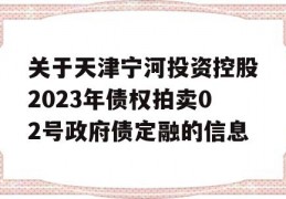 关于天津宁河投资控股2023年债权拍卖02号政府债定融的信息