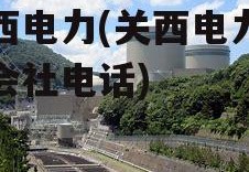 关西电力(关西电力株式会社电话)