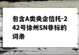 包含A类央企信托-242号徐州SN非标的词条