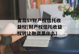 青岛SY财产权信托收益权(财产权信托收益权转让融资是什么)