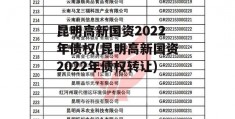 昆明高新国资2022年债权(昆明高新国资2022年债权转让)