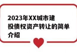 2023年XX城市建投债权资产转让的简单介绍