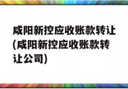 咸阳新控应收账款转让(咸阳新控应收账款转让公司)