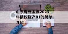 山东寿光金鑫2023年债权资产01的简单介绍