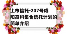 上市信托-207号咸阳高科集合信托计划的简单介绍