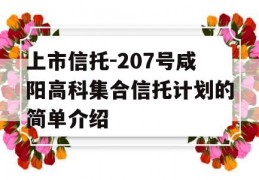 上市信托-207号咸阳高科集合信托计划的简单介绍