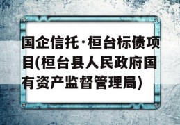 国企信托·桓台标债项目(桓台县人民政府国有资产监督管理局)