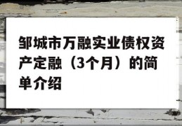 邹城市万融实业债权资产定融（3个月）的简单介绍