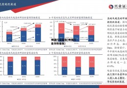 啤酒行业报告(啤酒行业分析报告)