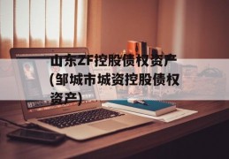 山东ZF控股债权资产(邹城市城资控股债权资产)