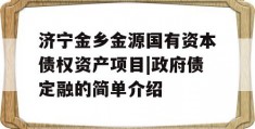 济宁金乡金源国有资本债权资产项目|政府债定融的简单介绍