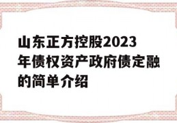 山东正方控股2023年债权资产政府债定融的简单介绍