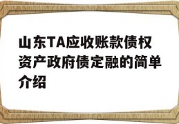 山东TA应收账款债权资产政府债定融的简单介绍