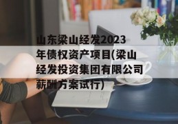 山东梁山经发2023年债权资产项目(梁山经发投资集团有限公司薪酬方案试行)