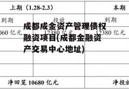 成都成金资产管理债权融资项目(成都金融资产交易中心地址)