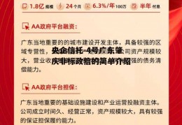 央企信托-4号广东肇庆非标政信的简单介绍