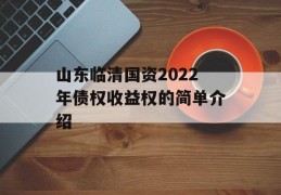 山东临清国资2022年债权收益权的简单介绍