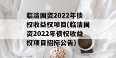 临清国资2022年债权收益权项目(临清国资2022年债权收益权项目招标公告)