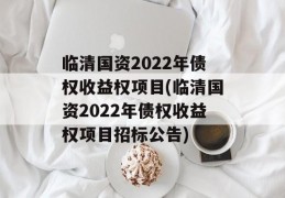 临清国资2022年债权收益权项目(临清国资2022年债权收益权项目招标公告)