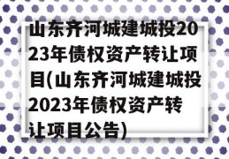 山东齐河城建城投2023年债权资产转让项目(山东齐河城建城投2023年债权资产转让项目公告)