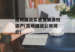 昆明国资实业发展债权资产(昆明国资公司简介)