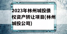 2023年林州城投债权资产转让项目(林州城投公司)