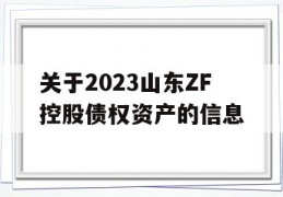 关于2023山东ZF控股债权资产的信息