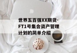 世界五百强XX期货-FT1号集合资产管理计划的简单介绍