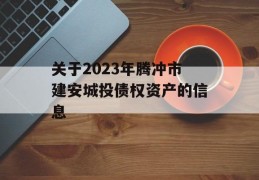 关于2023年腾冲市建安城投债权资产的信息