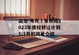 山东-寿光昇景市政2023年债权转让计划1-1号的简单介绍