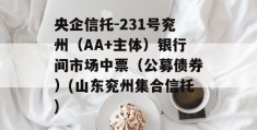 央企信托-231号兖州（AA+主体）银行间市场中票（公募债券）(山东兖州集合信托)