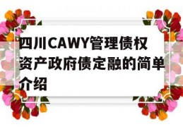 四川CAWY管理债权资产政府债定融的简单介绍