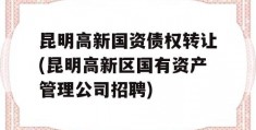 昆明高新国资债权转让(昆明高新区国有资产管理公司招聘)