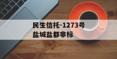 民生信托-1273号盐城盐都非标