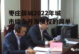 枣庄薛城2022年城市综合开发债权的简单介绍