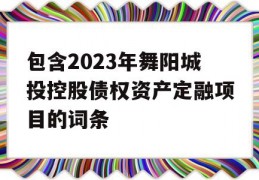 包含2023年舞阳城投控股债权资产定融项目的词条