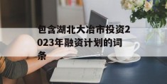 包含湖北大冶市投资2023年融资计划的词条