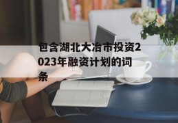 包含湖北大冶市投资2023年融资计划的词条